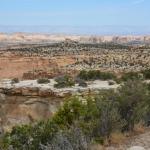 OTRA2013_2258 (July 22, 2013)